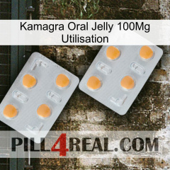 Kamagra Oral Jelly 100Mg Use 25